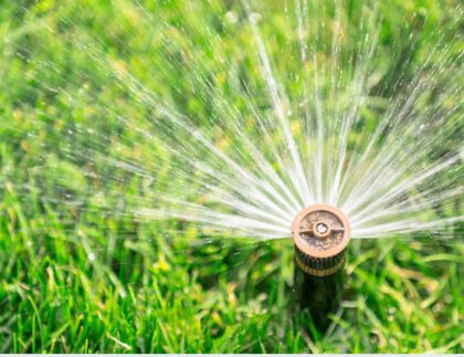 Garden irrigation