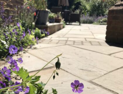 Side path with planting