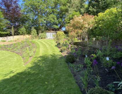 Planting on a slope and drainage