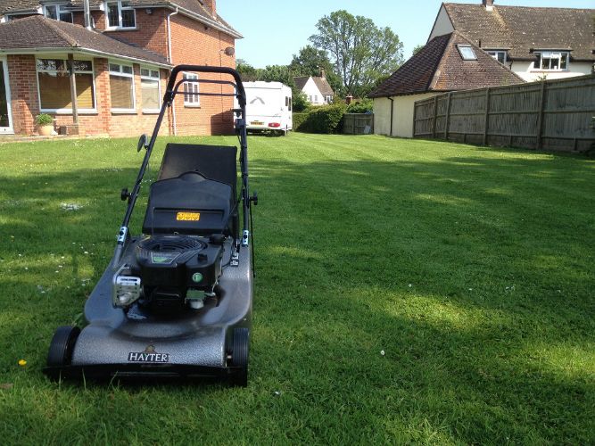 Lawn-mowing-Cowfold2