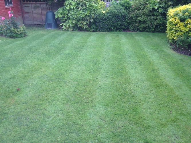 Lawn-mowing-Cowfold3