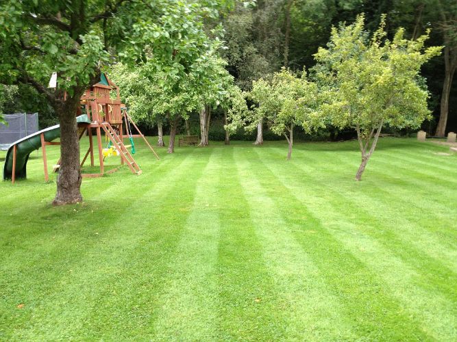 Lawn-mowing-Horsham7