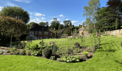 Natural garden Dorking Surrey