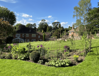 Natural garden Dorking Surrey